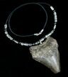 Big Ass Megalodon Tooth Necklace #5092-1